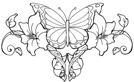 Эскиз бабочки для рисования
