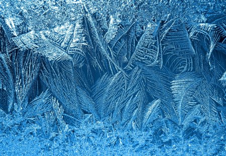 Ледяные узоры