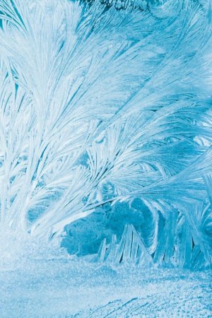 Морозные узоры