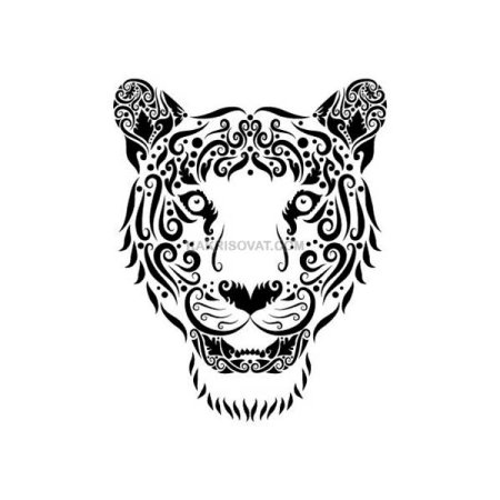 Красивые узоры животных