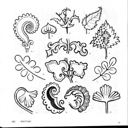Растительные мотивы в орнаменте