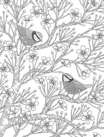 Раскраски антистресс птицы