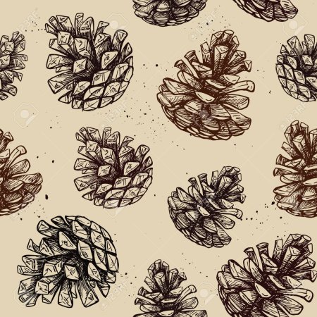 Сосновая шишка вектор