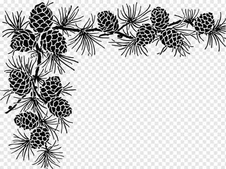 Орнамент шишки