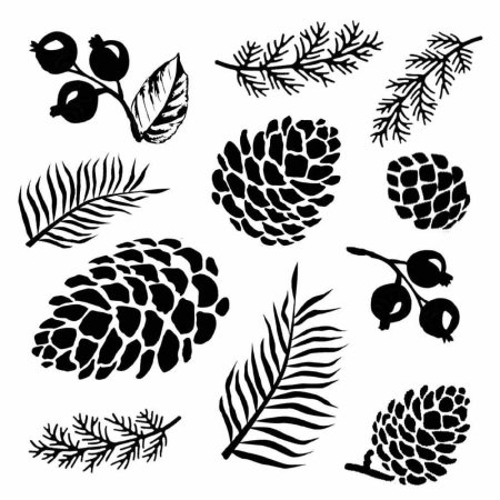 Шишка Графика