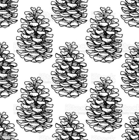 Гравюра шишки