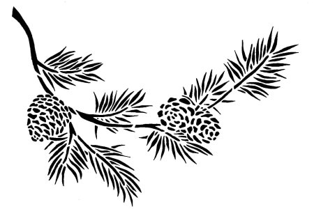 Ветка Еловая