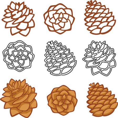 Стилизованная шишка