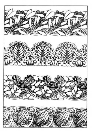 Pine Cones вектор