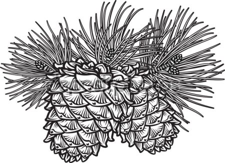 Фактура шишки Графика
