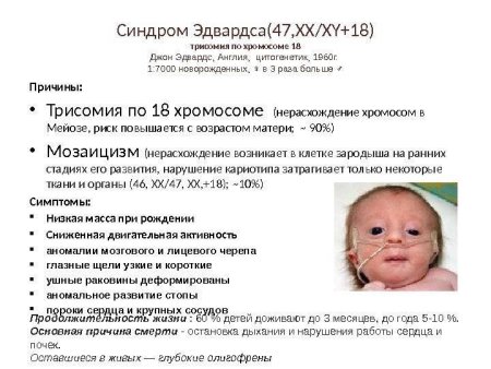 Схема наследования синдрома Патау