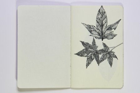 Листик для скетчбука