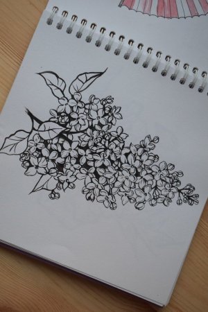 Цветы черной ручкой