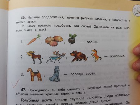 Запиши предложения заменяя рисунки словами