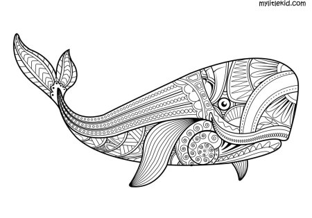 Дудлинг кит