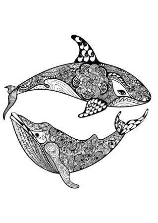 Раскраска Касатка антистресс