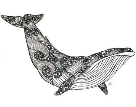 Дудлинг кит