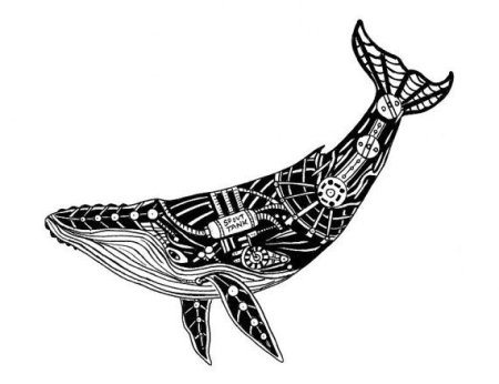 Стилизованное изображение кит