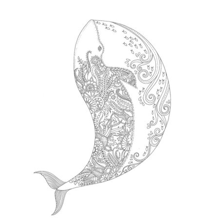 Раскраска антистресс кит