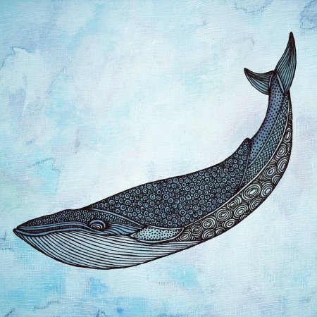 Кит рисунок