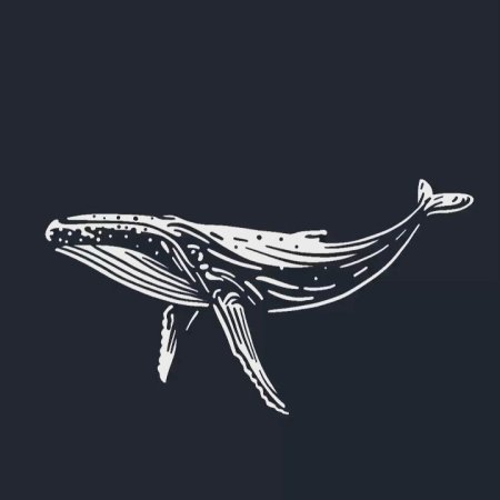 Горбатый кит арт