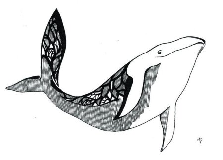 Кит черно белый