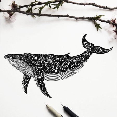 Эскизы китов