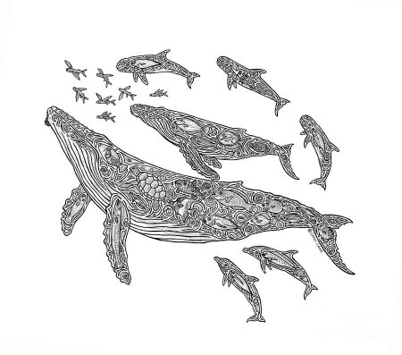 Кит рисунок эскиз