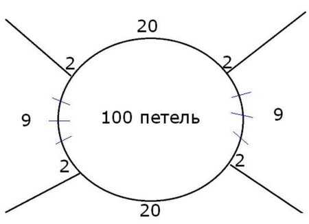 Расчёт реглана сверху спицами на 100 петель