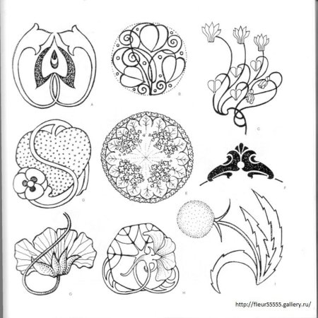 Грэхем Лесли Маккэлэм 4000 мотивов цветы и растения