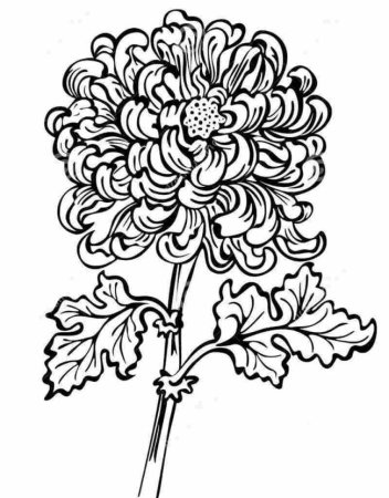 Узоры хризантемы рисунки (39 фото)