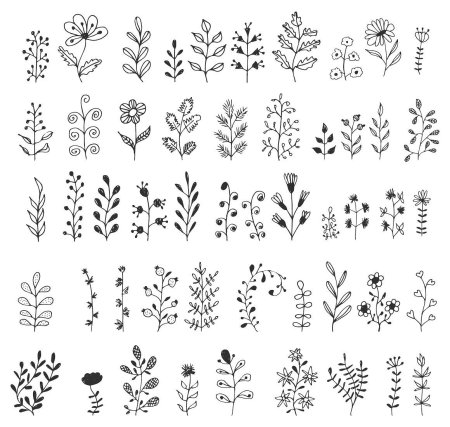 Узор растения