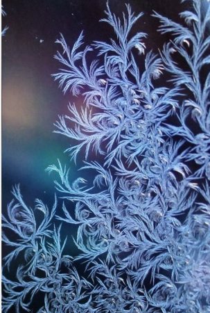 Морозные узоры