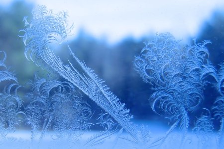 Морозные узоры