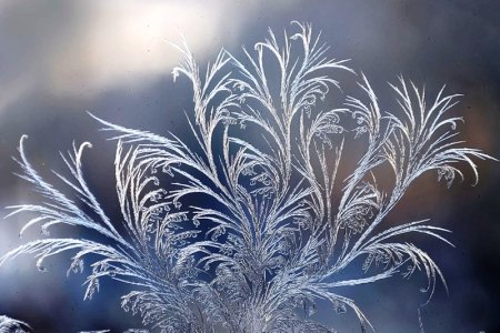 Константин Бальмонт морозные узоры