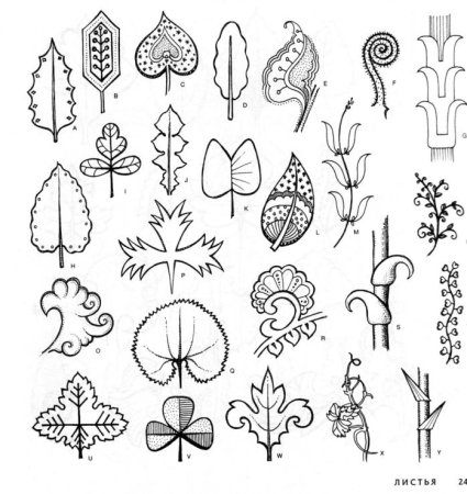 Трансформация растительных форм в орнаментальные мотивы