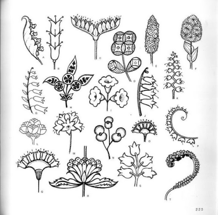 Природный растительный орнамент