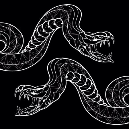 Стилизация змеи