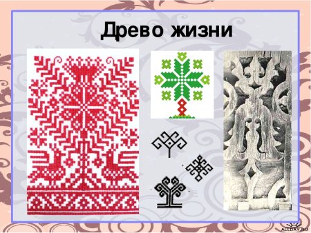 Древо жизни символ солярные знаки