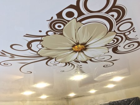 Натяжные потолки с рисунком