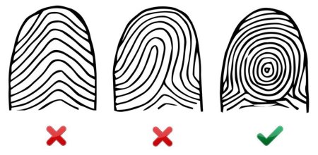 Тип папиллярного узора отпечатка пальца