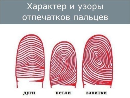 Отпечатки пальцев дуги петли завитки