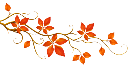 Орнамент из листьев