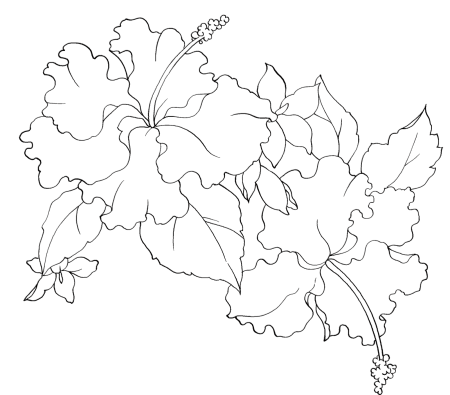Фантастические цветы раскраска