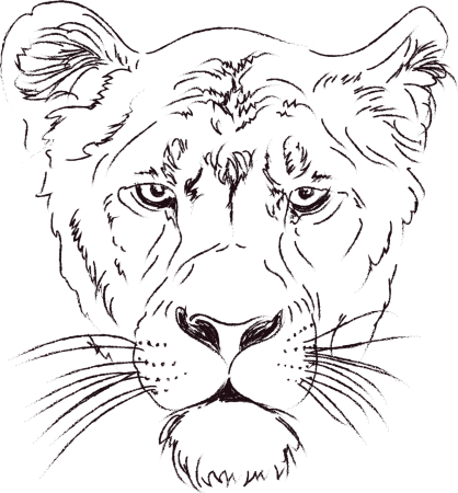 Схемы рисунков цветов