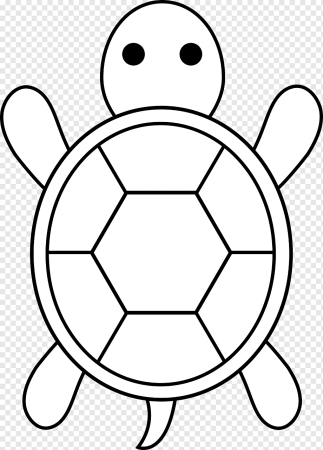 Черепаха раскраска для малышей