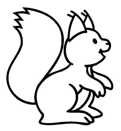 Белка раскраска