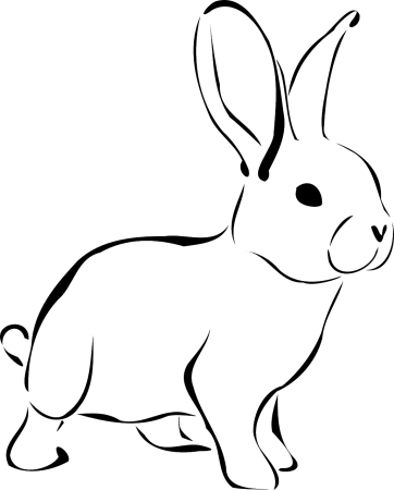 Заяц контур сзади