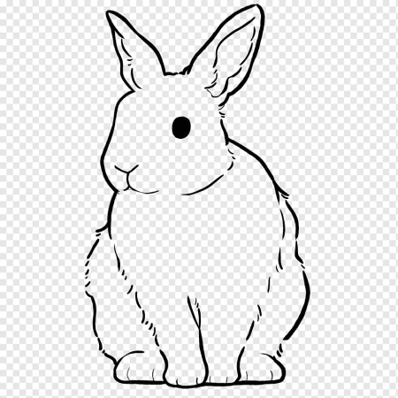 Кролик обвести