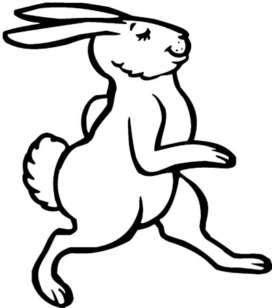 Контур зверей